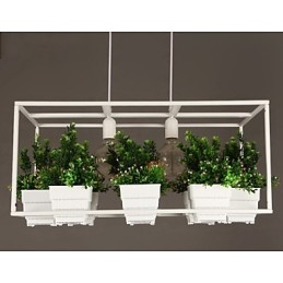 مصباح معلق بتصميم زخرفي عصري معاصر (لا يشمل النباتات)