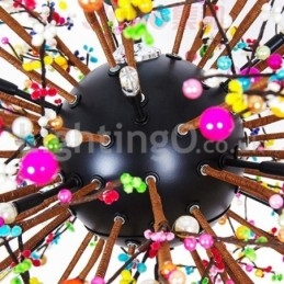 ثريا الهندباء النوردية الملونة